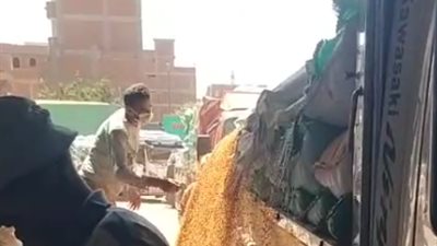 بسعر 2000 جنيه للإردب.. صوامع شبين الكوم تستقبل القمح من المزارعين| بث مباشر 