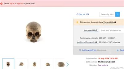 الرأس بـ 300 جنيه إسترليني.. مصدر بالسياحة يرد على عرض جماجم مصرية للبيع في بريطانيا