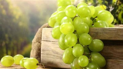 بسبب الدولار.. سعر كيلو العنب يسجل 115 جنيها قبل شهر رمضان