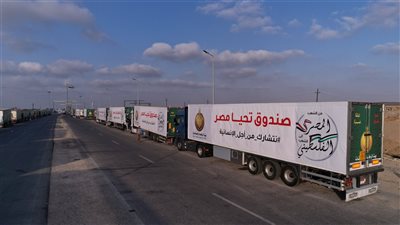 من العاصمة الإدارية.. صندوق تحيا مصر يستعد لإطلاق قافلة مساعدات إنسانية شاملة إلى غزة