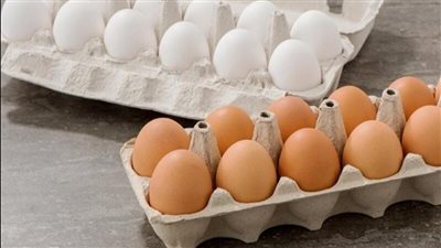 بقيمة 14 جنيهًا.. تراجع سعر كرتونة البيض للمستهلك داخل الأسواق المحلية