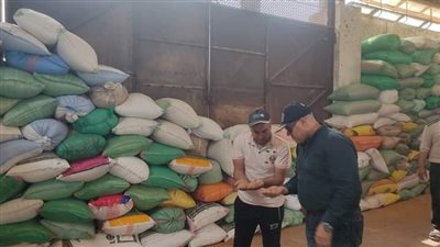 شون وصوامع البحيرة تستقبل 63411 طن قمح منذ بدء الموسم