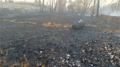 مصرع شخص وإصابة اثنين باختناقات فى حريق نخيل بأسوان