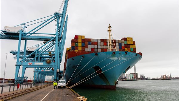 الإسكندرية لتداول