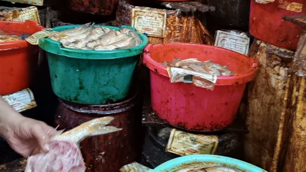 ضبط فسيخ فاسد 