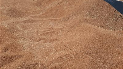 تموين المنيا: التحفظ على سيارتين محملتين بـ 24 طن قمح لمخالفة أصحابها قرارات النقل والتداول