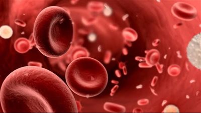 تعرف على أعراض وطرق الوقاية من مرض الثلاسيميا