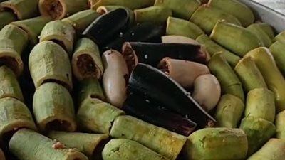 لحمة وفراخ ومحشي.. أسرة تقيم مطبخا خيريا بكفر الشيخ صدقة على ابنتهم بعد وفاتها بالسرطان | بث مباشر