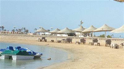 لليوم الثاني.. قوات الإنقاذ تواصل البحث عن غريق شاطئ القمر بطور سيناء 