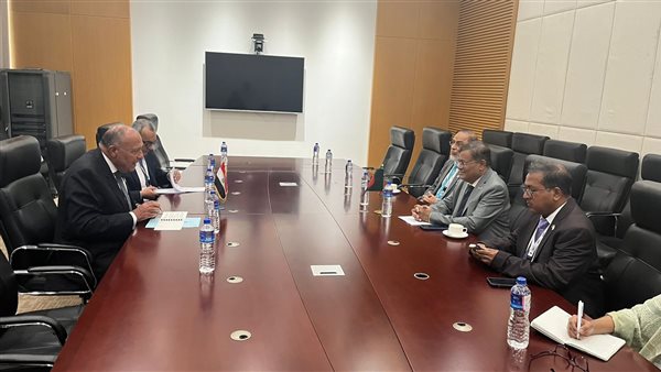 سامح شكري ووزير خارجية