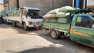 شون وصوامع المنيا تستقبل 124 ألف طن من محصول القمح