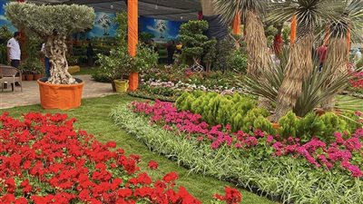 تحالف تطوير حديقتي الأورمان والحيوان بالجيزة: تهذيب وتقليم الأشجار وصندقة جزء منها لحين انتهاء أعمال التطوير