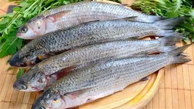 ممثلة تحرر محضرا ضد فسخاني شهير بالقاهرة: لقيت دود في السمك 