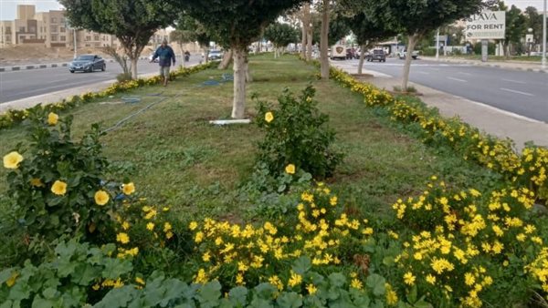 صيانة المسطحات الخضراء