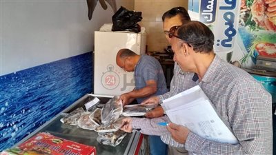 خلال الاحتفال بشم النسيم.. ضبط نصف طن أسماك مملحة ولحوم ودواجن فاسدة في المنيا