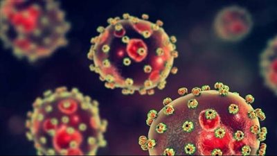 حمى لاسا تقتل 118 شخصًا في نيجيريا خلال 3 أشهر وسط تحذيرات صحية