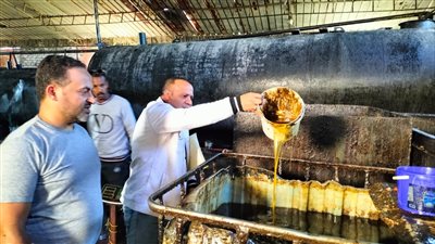 ضبط 419 مخالفة متنوعة في حملات على المحلات والأسواق بالدقهلية