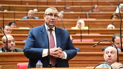 خطة النواب توصي بزيادة ميزانية العلاج على نفقة الدولة 10 مليارات جنيه