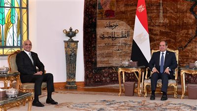 مصر والأردن يؤكدان رفضهما الكامل للعملية العسكرية الإسرائيلية في رفح الفلسطينية.. ويحذران من الآثار الإنسانية الكارثية