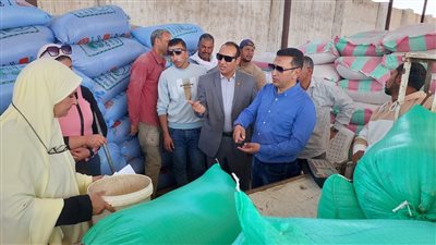 توريد القمح بجنوب سيناء يتخطى إجمالي كمية العام الماضي| صور 