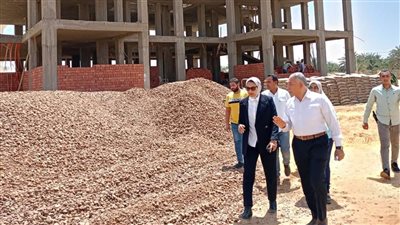 بتكلفة 71 مليون جنيه إنشاء مدرسة مصرية يابانية في الوادي الجديد