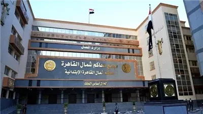 قتلا شخصا بأعيرة نارية.. إحالة أوراق صاحب شركة وتاجر دواجن بالسلام للمفتي