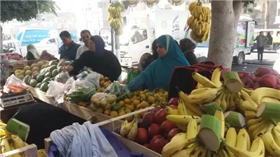 مصر تصدر خضراوات وفاكهة إلى الأردن بـ60.6 مليون دولار خلال عام