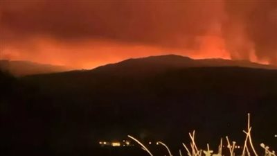 حرائق الغابات.. المملكة المتحدة تطلق تحذيرًا شديدًا وقوات الإطفاء تتدخل للسيطرة