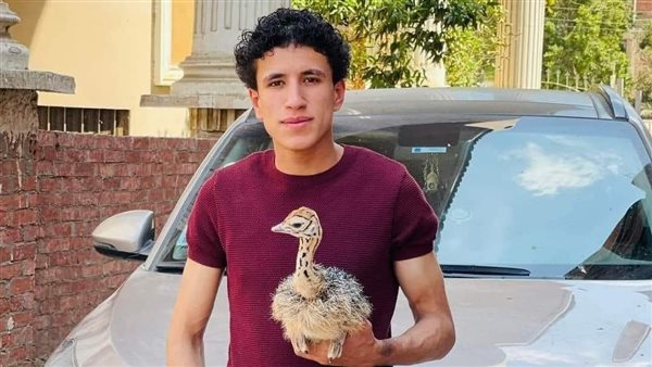 يوسف العدلي