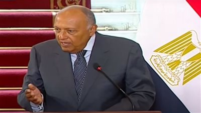 وزير الخارجية: اتفاقية السلام مع إسرائيل لها آليات خاصة تفعّل لتناول أي مخالفات إذا وجدت