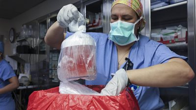 بعد نجاح العملية.. وفاة أول مريض خضع لعملية زرع كلية خنزير