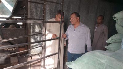 في يوم واحد..41 محضرًا للتموين بأسواق الأقصر | صور 