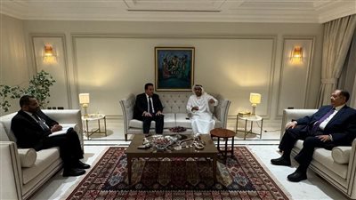 مصر والإمارات تبحثان التعاون في الجينوم البشري وتشخيص أمراض القلب عن بُعد