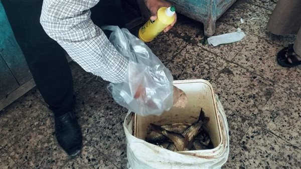 جانب من حملة الصحة