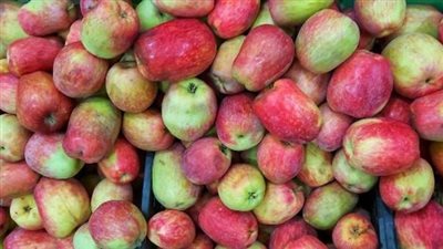 يحتوي على مواد كيميائية.. خبراء أمريكيون يحذرون من شراء التفاح بالسوبر ماركت