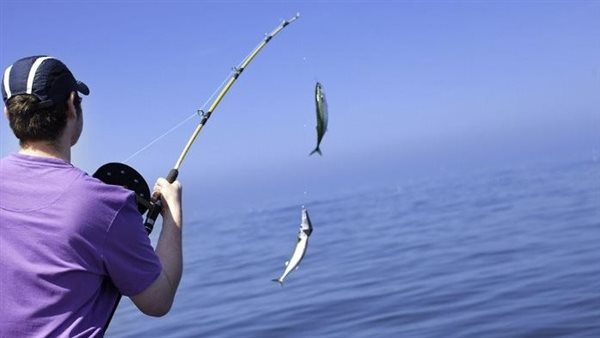 تفسير حلم صيد السمك