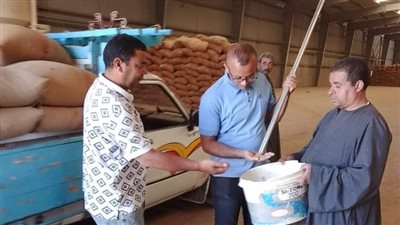 محافظ المنيا: توريد 225 ألف طن قمح منذ بدء الموسم