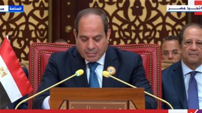 السيسي: إسرائيل مستمرة في المراوغة لعدم وقف إطلاق النار.. ومضت في عملية رفح لحصار غزة