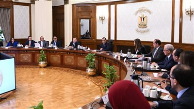 الحكومة: تعديل النظرة المستقبلية لمصر إلى إيجابية من جانب 3 مؤسسات تصنيف ائتماني