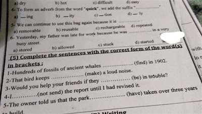 مزاعم بنشر ورقة الأسئلة.. تعليم الإسكندرية تنفي تسريب امتحان اللغة الأجنبية للشهادة الإعدادية 