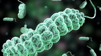 خبراء يحذرون من عدوى تنقلها مياه الصنبور في بريطانيا