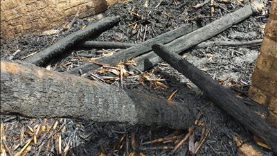 اندلاع حريق في حوشين للماشية بسوهاج.. والحماية المدنية تسيطر على النيران 