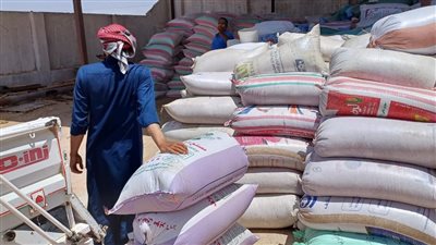 صرف مستحقات توريد القمح للمزارعين في جنوب سيناء