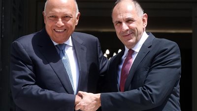 وزير الخارجية يؤكد رفض مصر التام لسيطرة إسرائيل على معبر رفح