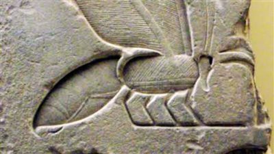 المتحف المصري بالتحرير يعرض قطع أثرية للنحل في مصر القديمة | صور 