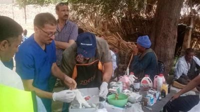 تنفيذ 3 قوافل بيطرية مجانية بالقرى الأكثر احتياجا في المنيا