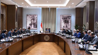 مدبولي: الحكومة ستعمل مع القطاع الخاص لتذليل أي عقبة تواجه قطاع الدواء