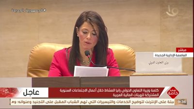 رانيا المشاط: مصر قدمت نموذجا للتعاون مع المؤسسات المالية العربية لتحقيق التنمية 