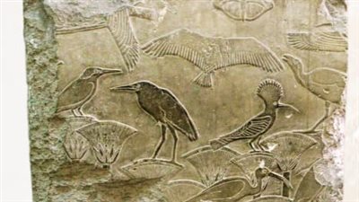 المتحف المصري بالتحرير يعرض قطعة فريدة احتفالا باليوم العالمي للتنوع البيولوجي