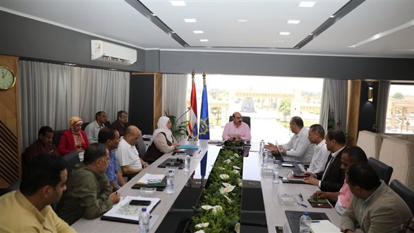 محافظ أسوان